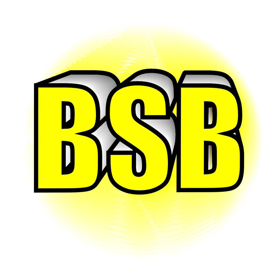 BEST SERVICES BATIMENT - BSB