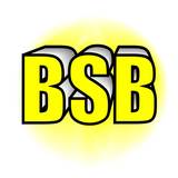 BEST SERVICES BATIMENT - BSB