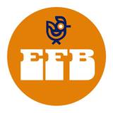 ENTREPRISE FRANCE BATIMENT